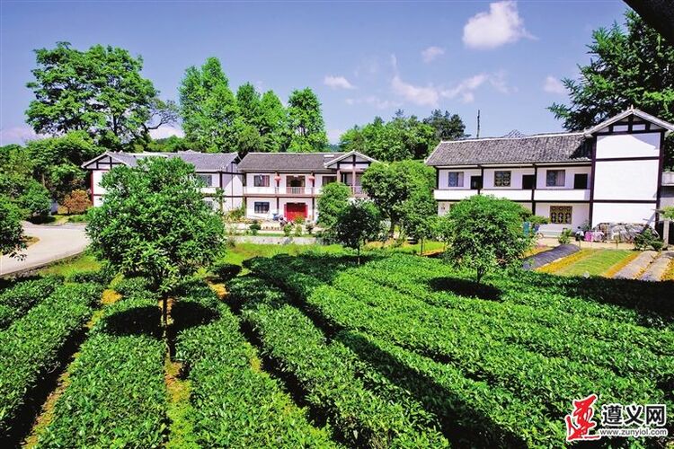 在良好开局中砥砺前行 ——遵义乡村振兴关键词解读