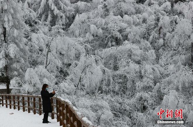 Pengunjung Tertarik Keindahan Kabus Beku pada Ranting Pokok