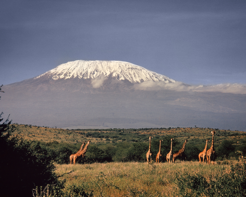 Serikali ya Tanzania yaidhinisha kuweka vigari vya kebo katika Mlima Kilimanjaro