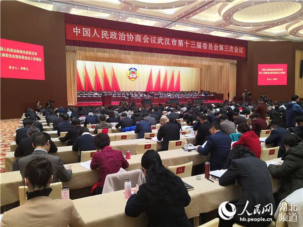 政协武汉市第十三届委员会第三次会议开幕