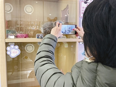 中国ペットサービス消費市場、2000億元に達する