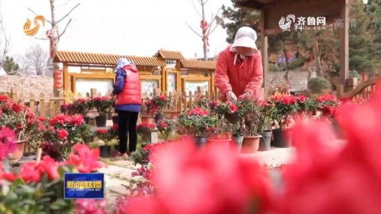 省委省政府重大政策举措解读丨山东:打造乡村振兴“齐鲁样板” 省委省政府重大政策举措解读丨山东:打造乡村振兴“齐鲁样板”