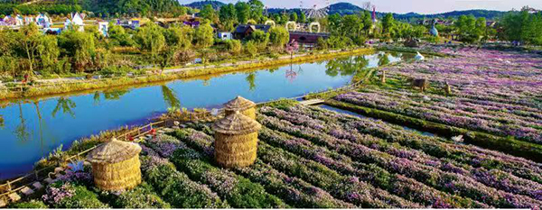 绵阳市涪城区举行“乡村研学导师”培训会