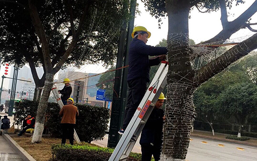 图片默认标题_fororder_在城区南岸工人在修复亮化灯饰（摄影-陈忆）