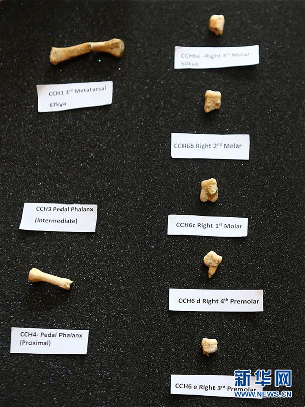 国际科研团队在菲律宾发现新的古人类物种
