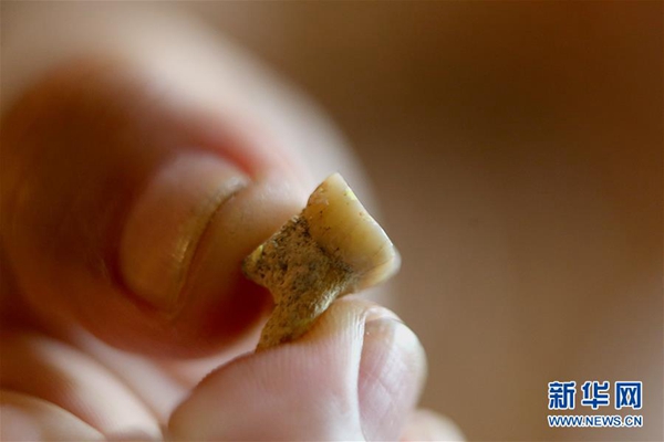 国际科研团队在菲律宾发现新的古人类物种