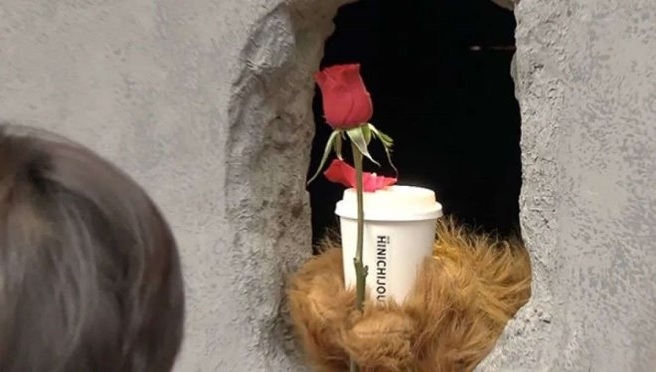 なぜ、「熊の手」コーヒーが人気者になったのか？