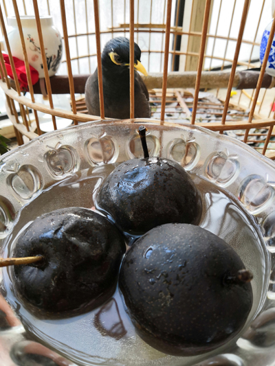 图片默认标题_fororder_005