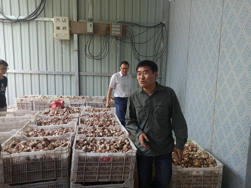 【河南供稿】河南鲁山县董周乡:三级产业联动 稳定脱贫增收