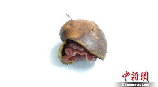 图片默认标题_fororder_3