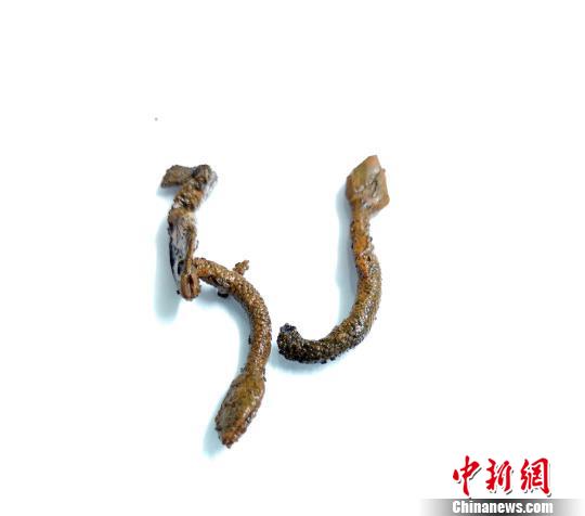 图片默认标题_fororder_4