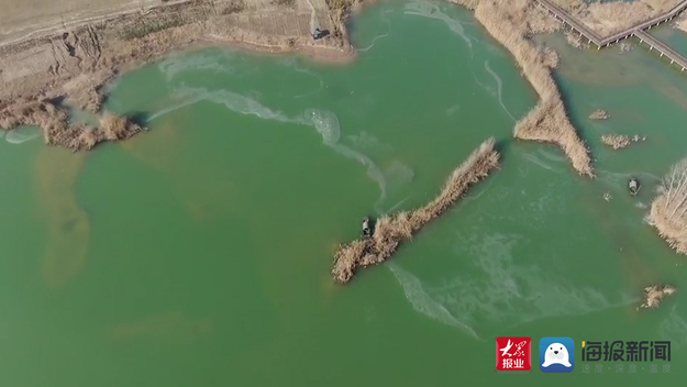 “把清水送人，把黄河沉沙留到聊城”！探访中国最大沉沙池位山灌区