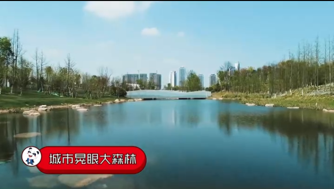 （导航成都）好嗨哦 总书记说惦记咱