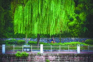 图片默认标题_fororder_2