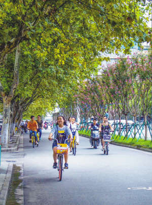 图片默认标题_fororder_7