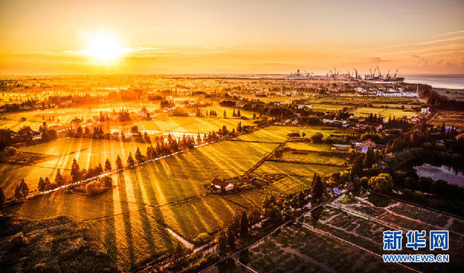 图片默认标题_fororder_崇明岛