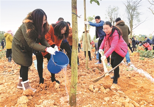柳州市举办新春植树团拜活动