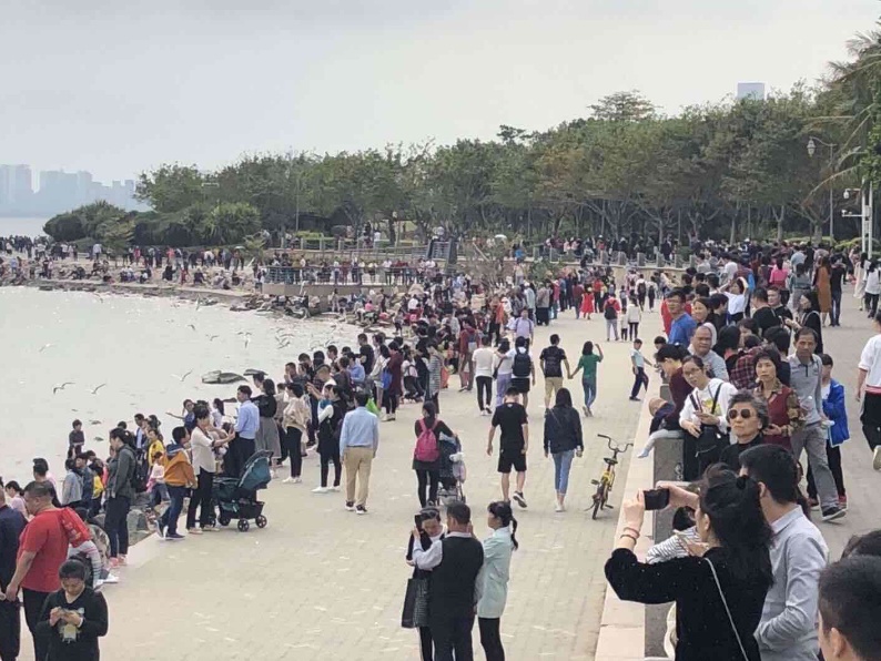春节超300万人打卡！深圳这些公园成“人气爆款”