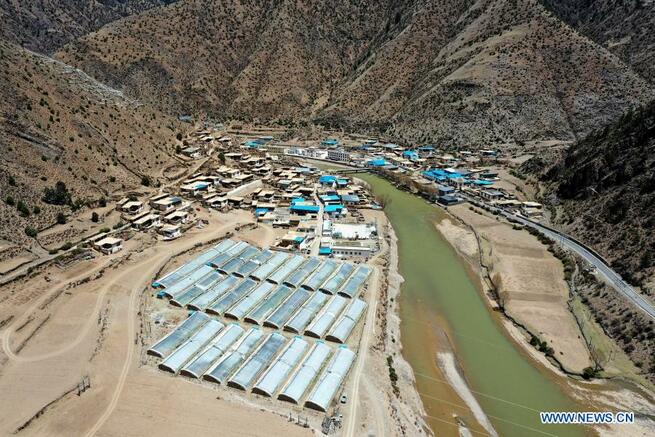 高地で現代的な野菜栽培　チベット自治区_fororder_1-4