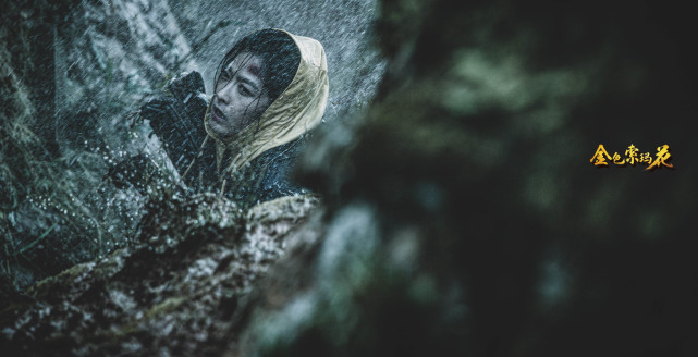 ٻۡɫ껨չ ϸڿݼȦ