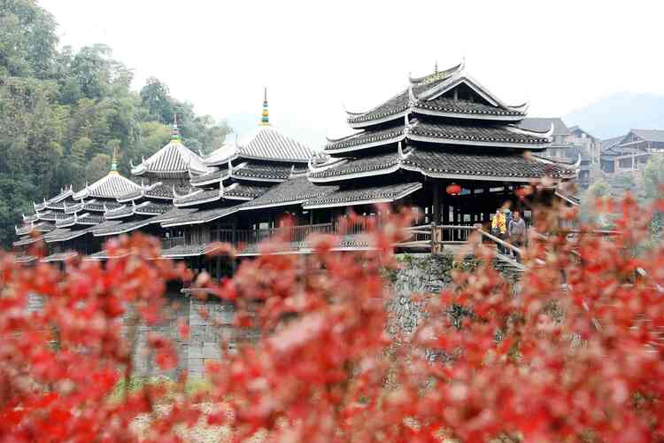 广西三江：冬染侗乡“枫”景美