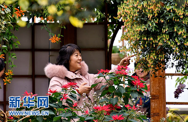 北京：赏花卉 过春节