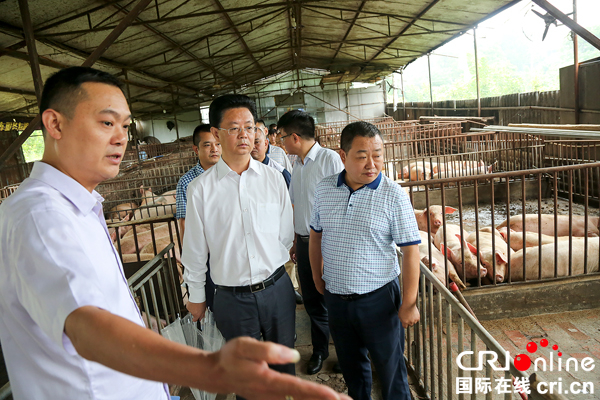 图片默认标题_fororder_调研现场