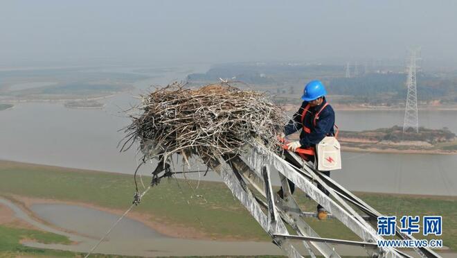 Perlindungan Ciconia boyciana di Tasik Poyang