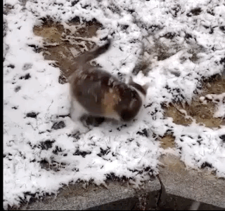 [人民日报]凌晨4点的武汉，900万人的害怕和勇敢