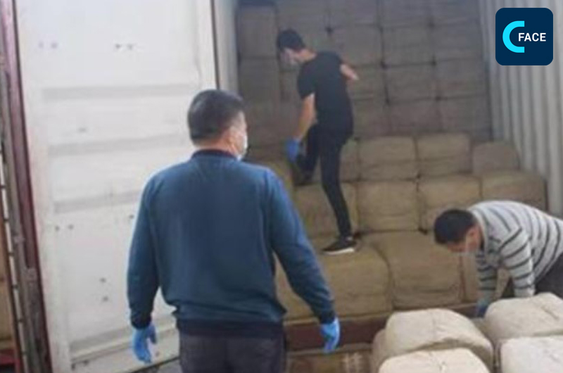 เขตนำร่องการค้าเสรีกว่างซีนำเข้าสมุนไพรทำยาจีนจากอาเซียนกว่าหมื่นตัน