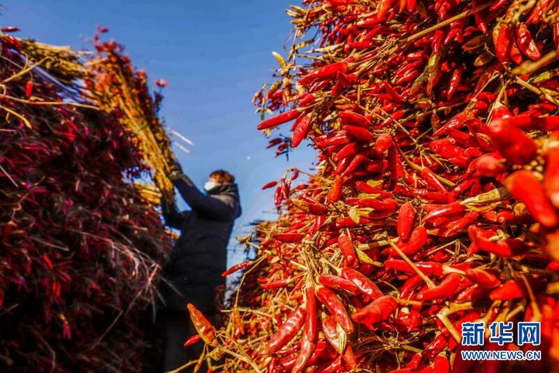 Shanya barkono a lardin Hebei