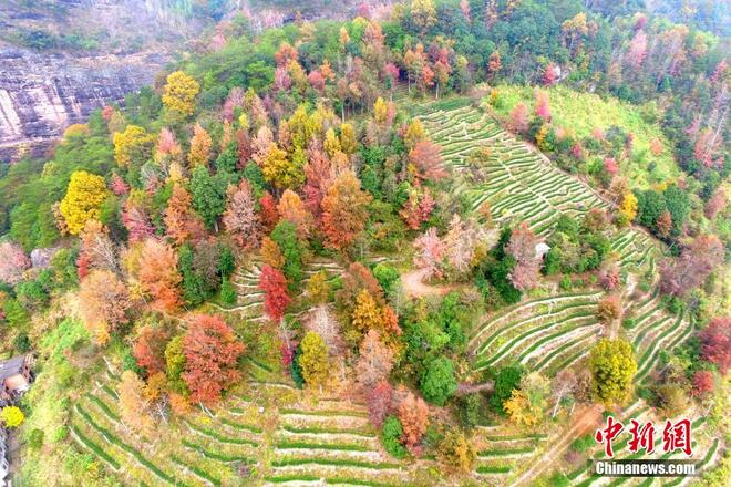 Pemandangan Sudut Udara Tasik Dajin di Fujian