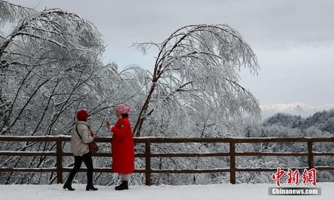 Pengunjung Tertarik Keindahan Kabus Beku pada Ranting Pokok