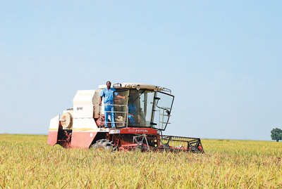 尼日利亚瓦拉农场:中国技术让我们的日子好起