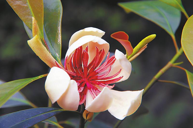 图片默认标题_fororder_1