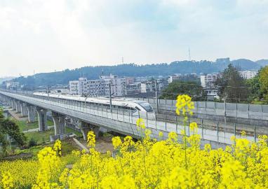 川藏铁路成雅段列车驶进花海