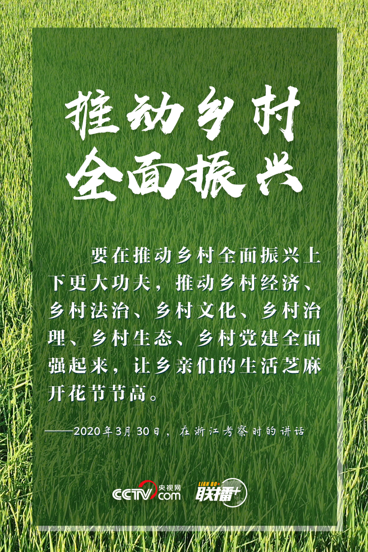 联播 |特殊之年 感受习近平的"三农"情怀