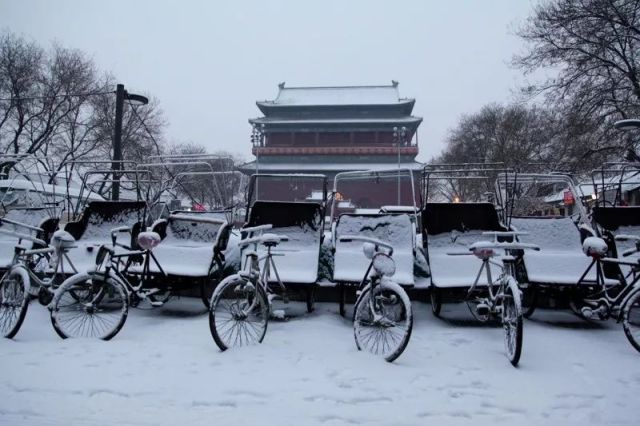 下雪啦！|北京赏雪指南