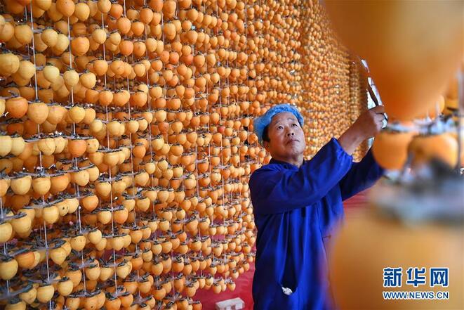 Industri Pisang Kaki di Fuping_fororder_1126697072_16044732360051n