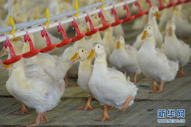 貧困脱却で人類のモデルを_fororder_A-1