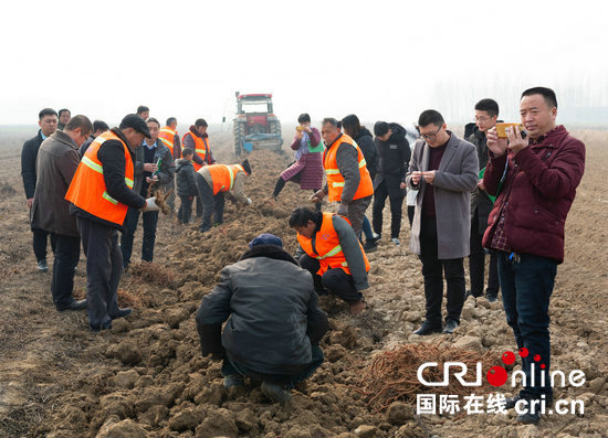 【河南在线-文字列表】【移动端-文字列表(页面标题:“食品安全中原行”走进南阳方城 聚焦特色产业发展)】“食品安全中原行”活动走进南阳方城 聚焦特色产业发展