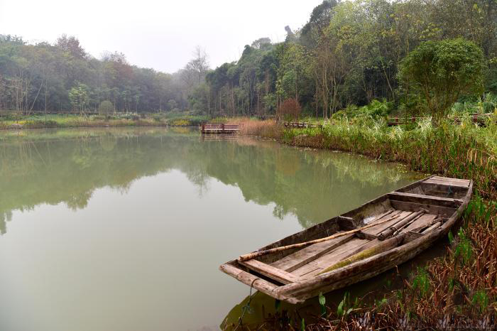 เกาะ“กว่างหยาง”ในแม่น้ำฉางเจียง