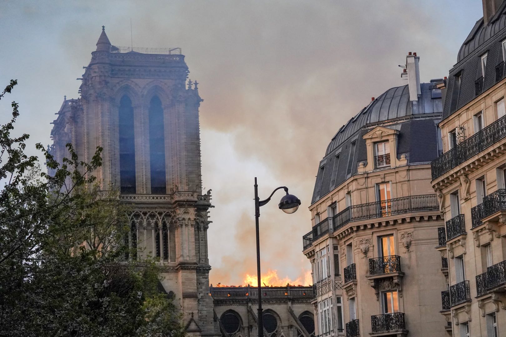 探访大火后的巴黎圣母院 标志性玫瑰花窗幸存