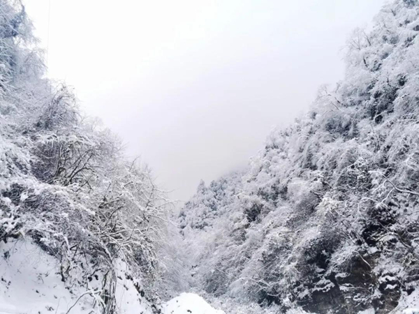 雅安天全二郎山：赏北国风光 品南国情调