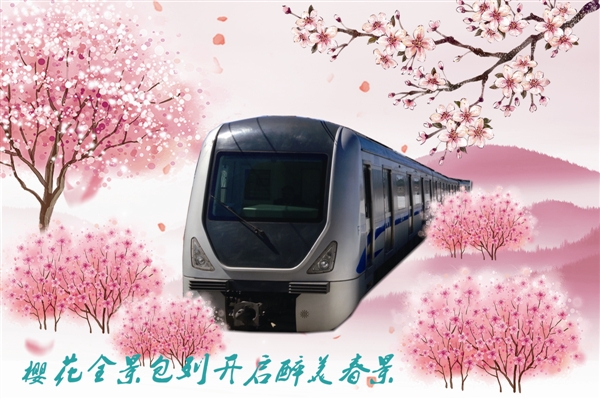 大连（旅顺）樱花节将于19日开幕