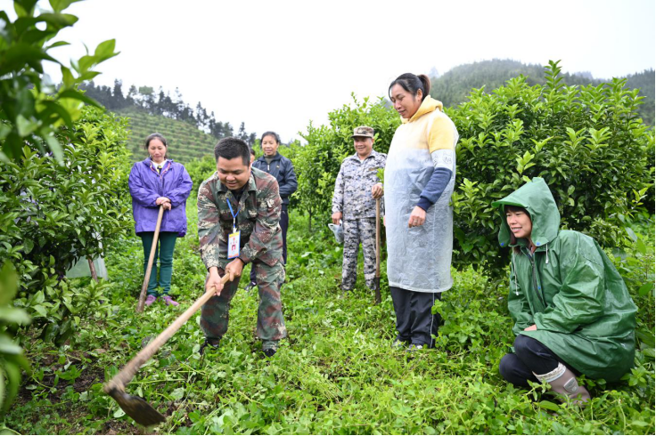 广西田林：晚熟砂糖橘拓宽贫困群众增收渠道