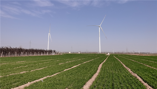 河南长垣豫能风电项目100MW风电场工程成功并网