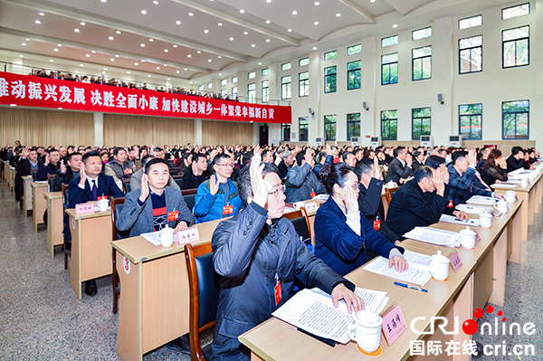 图片默认标题_fororder_5举手表决通过报告（摄影-廖志全）