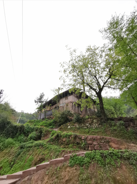 图片默认标题_fororder_14