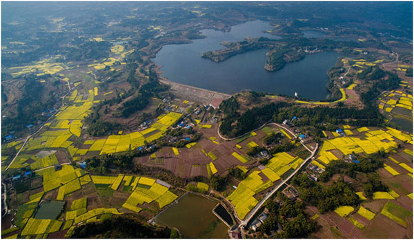 [新春走基层]眉山仁寿:元通镇驶入高质量发展快车道